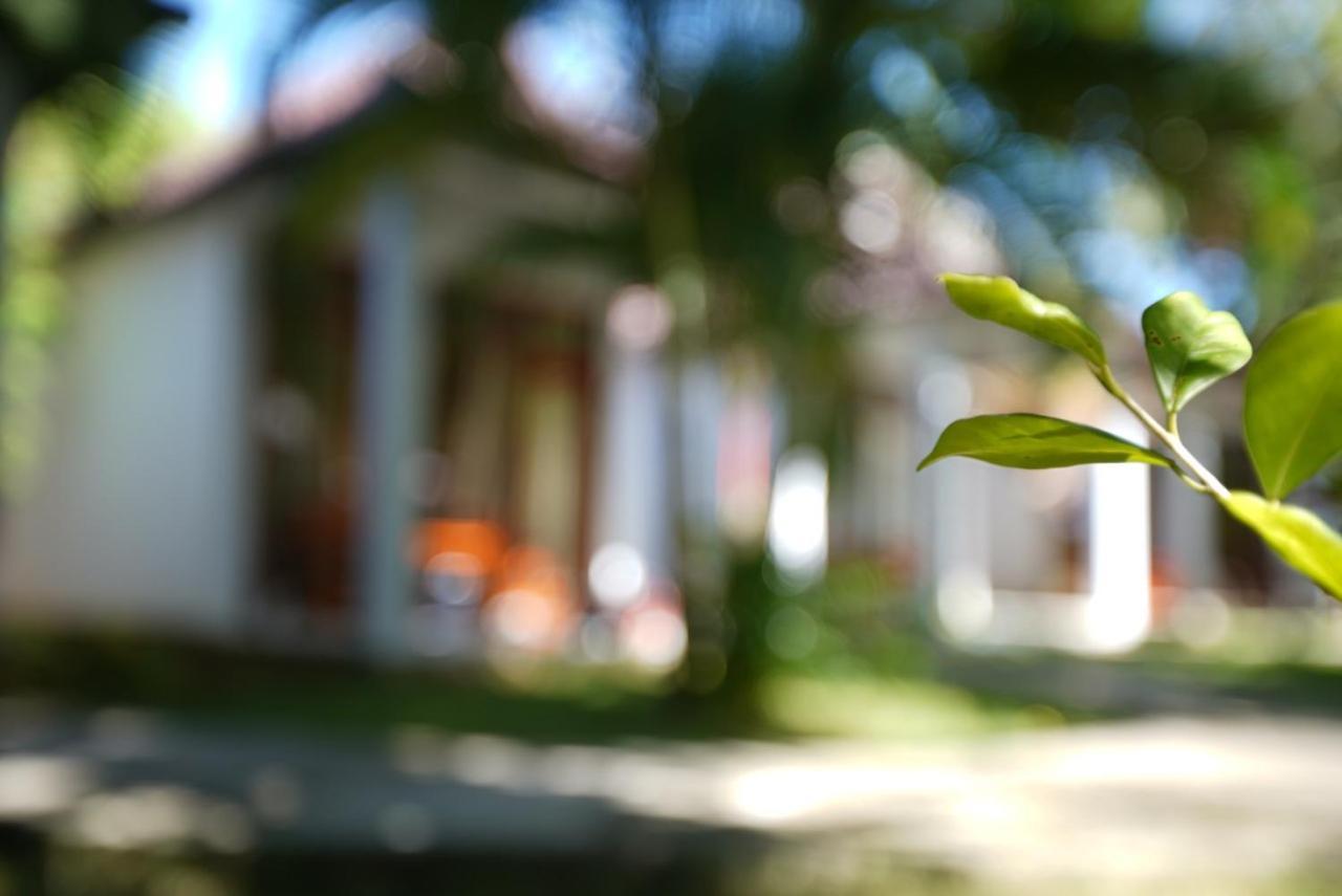 Hoa Nhat Lan Bungalow Дуонг-Донг Экстерьер фото